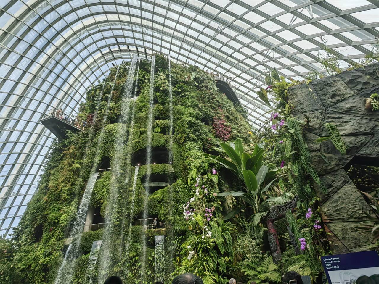 植物园2